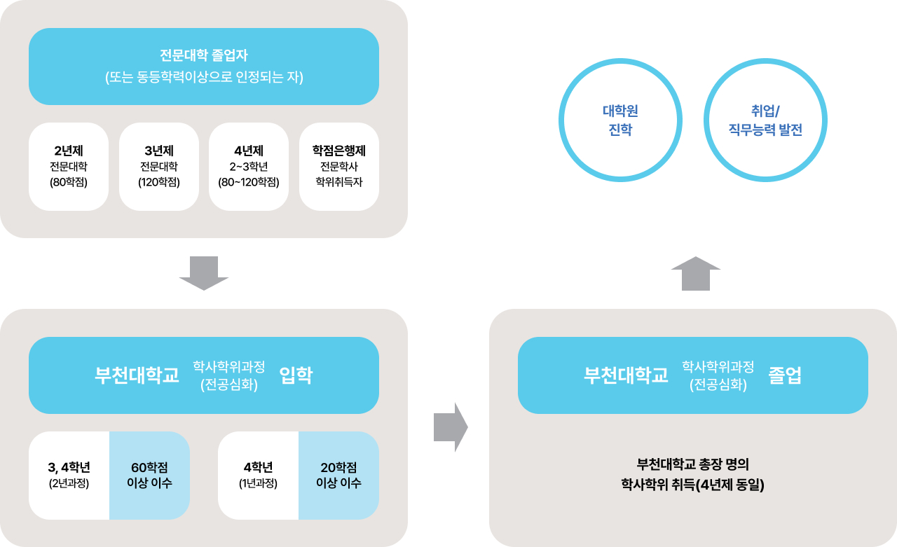 학사학위 과정